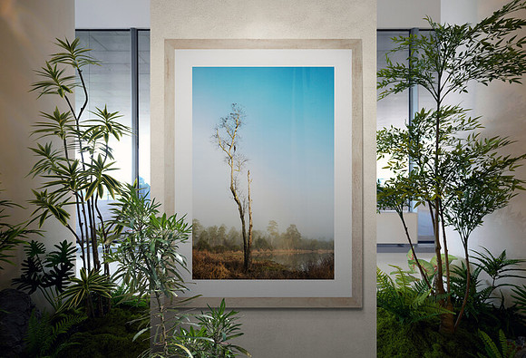 an interior hallway showing my image 'As The Fog Clears 4' hanging between two tall planters