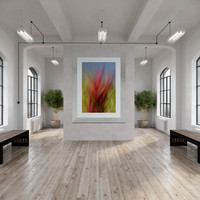 my image: Red Cordyline seen hanging on a wall in a hallway