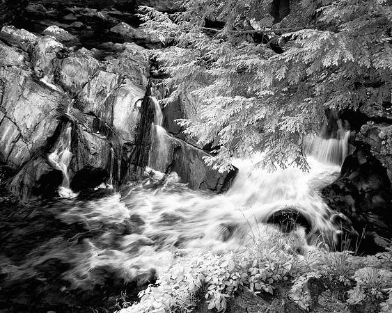 Infrared images converted to Black and White of various landscapes consisting of Forests, streams, fields and mountain ranges.