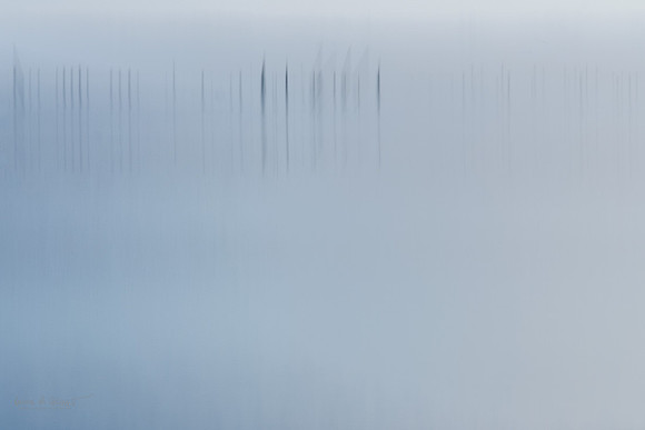 Image of the sea and marshes on North Carolina eastern coastal areas