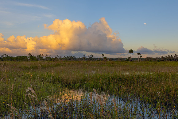 Marsh reflecting blue skies and orange clouds with full moon