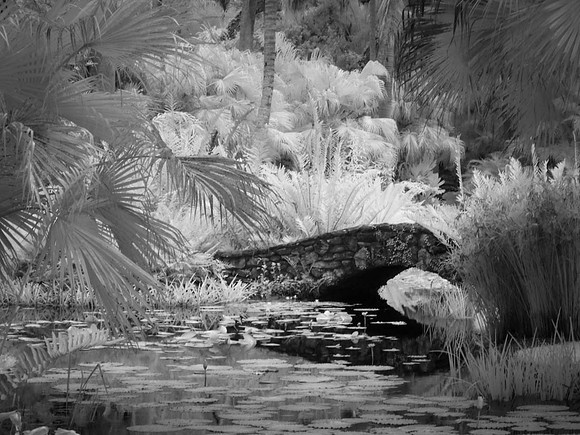 Old Coral Bridge IR