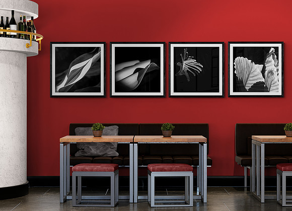 commercial casual dining area with 4 B&W images on wall of large plant leaves