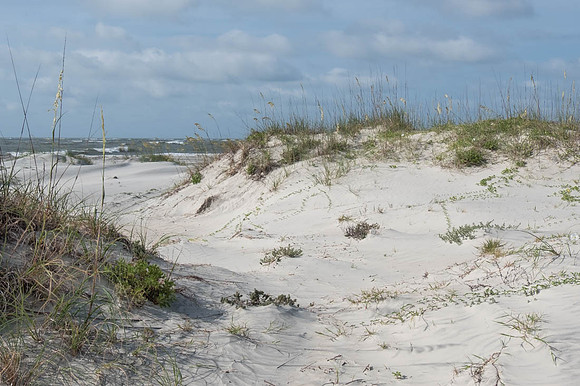 Sand dunes on sunny day with ocean in distance